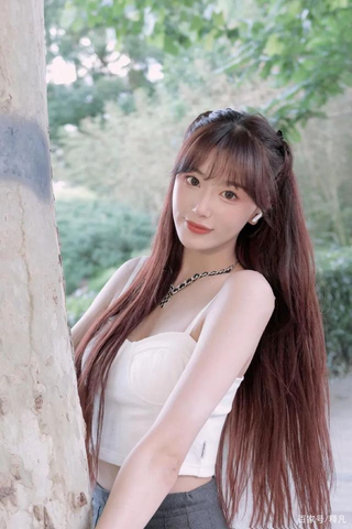 安装步骤示意图